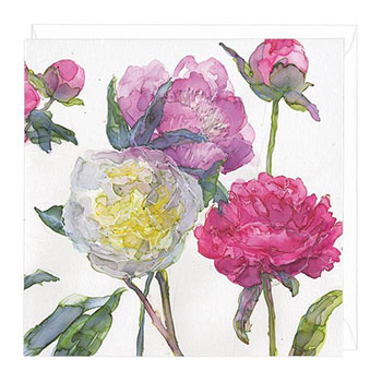 Card Peonies